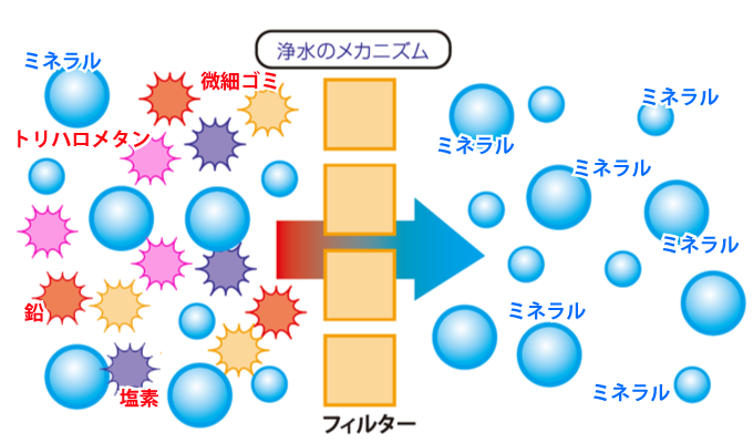 浄水のメカニズム